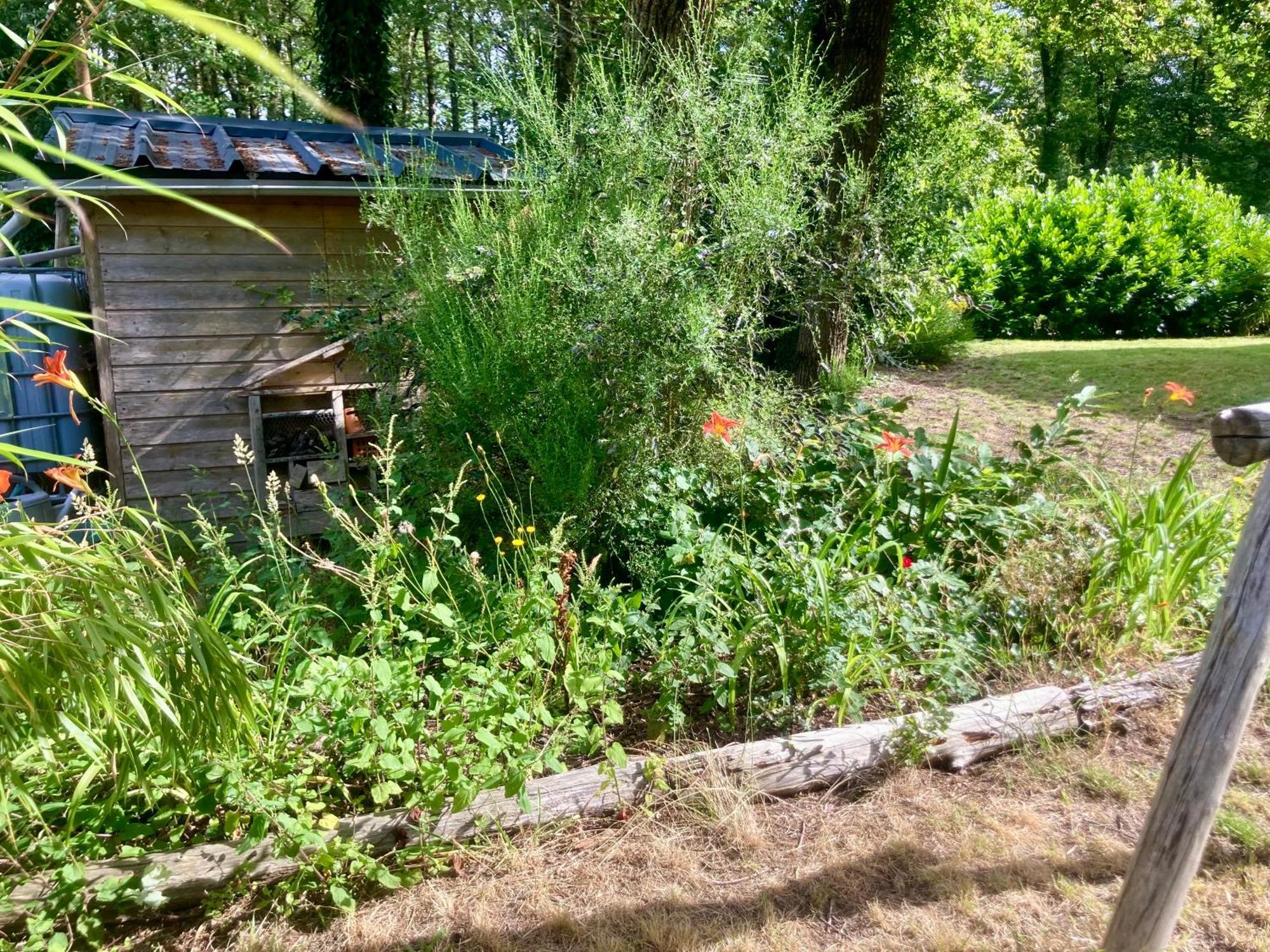 Villa Loft Au Calme Proche Zoo La Fleche